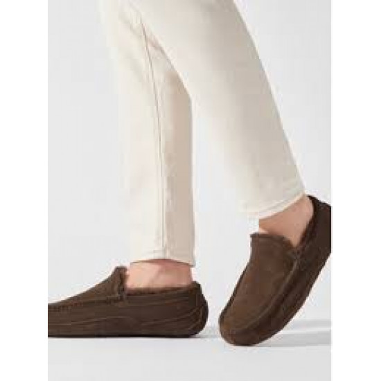 UGG Mens Ascot Chocolate 