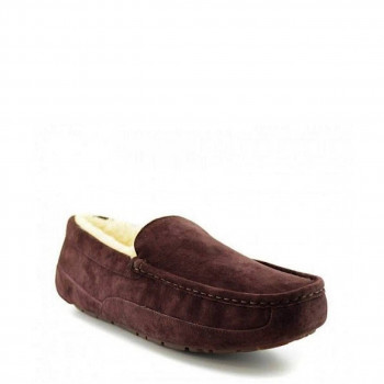 UGG Mens Ascot Chocolate 